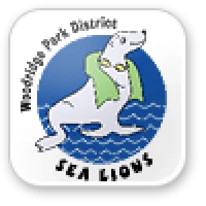 A sea lion with a towel draped over its neck.