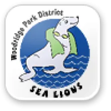 A sea lion with a towel draped over its neck.