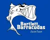 Bartlett Team Logo